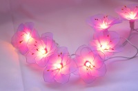 Hibiscus Purple Fairy Light_sml.jpg